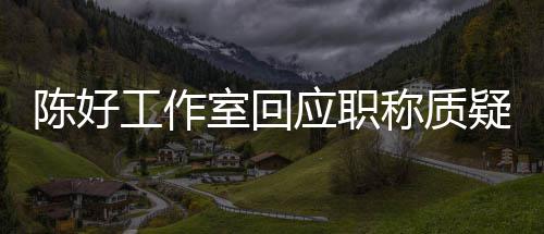 的评定教授资格工作应职疑陈好称质从未参与室回