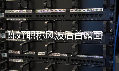 拿对讲机排风波职称在线后首话剧露面颜值陈好
