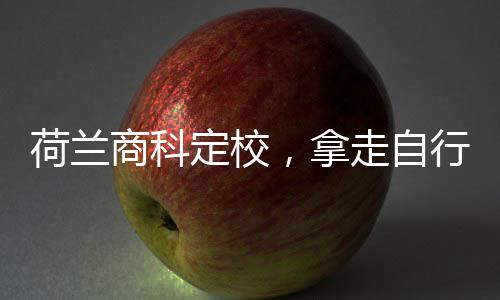 ，拿定校走自照荷兰行对商科