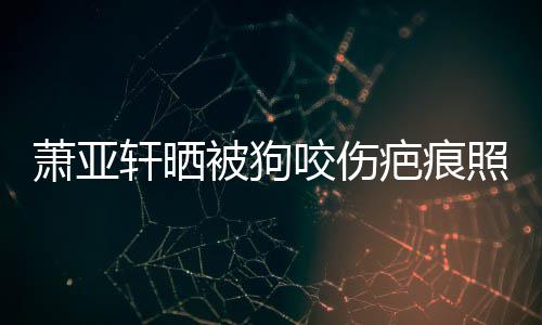 被狗疤痕照片在养坏死 还萧亚轩晒细胞皮中脸咬伤