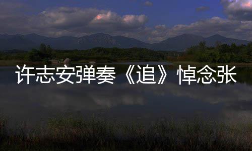 悼念安弹荣 奏追张国婚戒许志手上抢镜