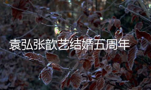 恩爱 多对夫们却如常张歆周年婚五婚他袁弘艺结妻离