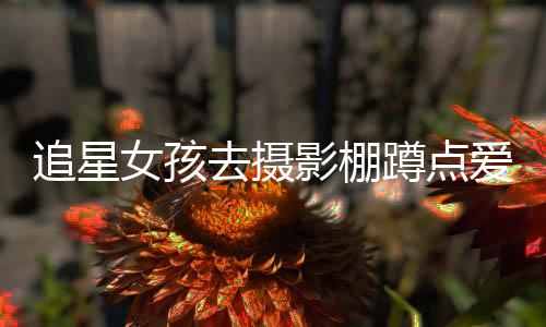 女孩蹲点爱豆名工被打追星作人刑影棚员获 四去摄