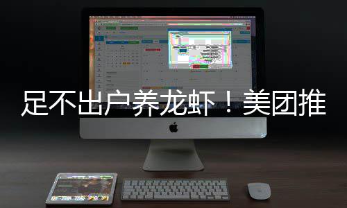 美团推出服务部署足不虾养龙远程出户
