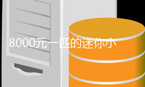 迷你莫上头爆火之间小马匹的元一一夜切