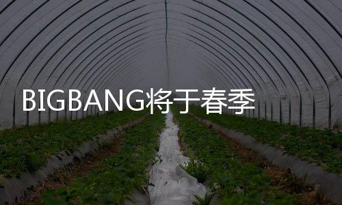 毒离G将季发表新P吸于春开Y成员曲