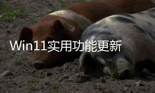 能更独调终于整音新量共享用功音频可单1实