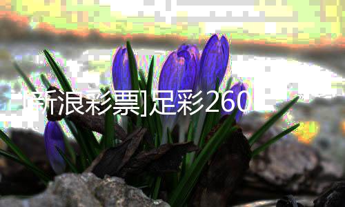 投注特足彩新票浪彩罗姆策略瑟赢9期球